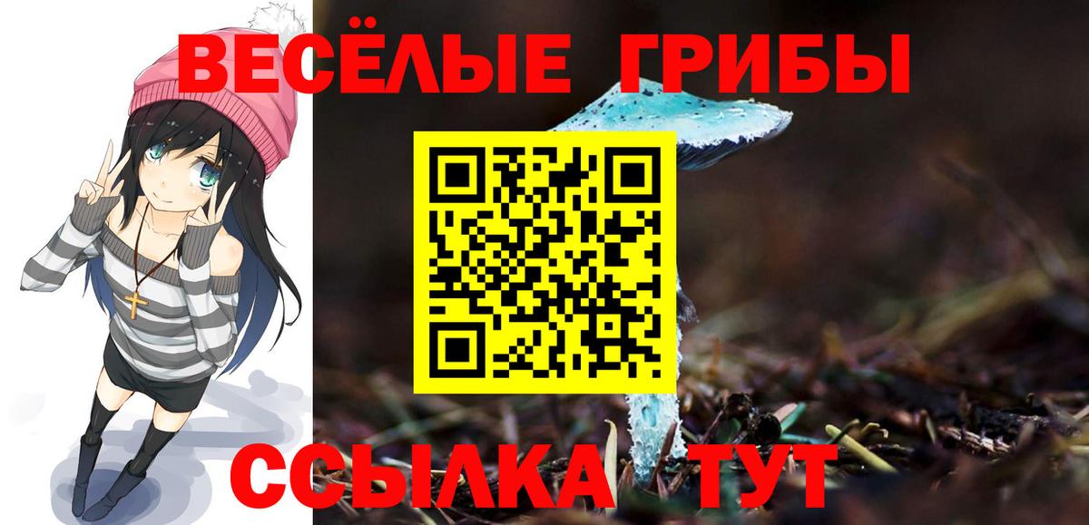 Зеленодольск  Галлюциногенные грибы мухоморы  Вход с VPN 